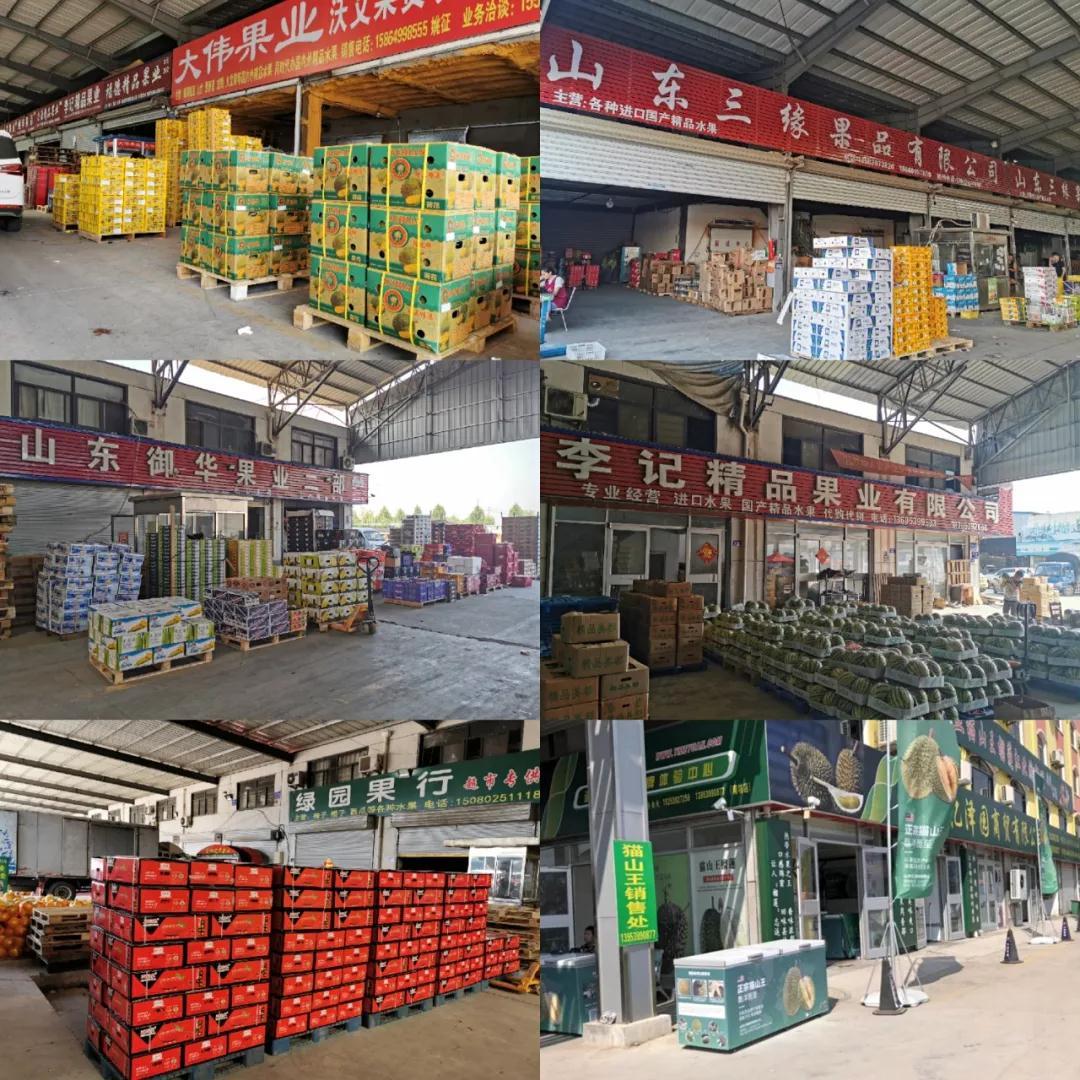 临沂北环市场第三届水果节8月18日开幕