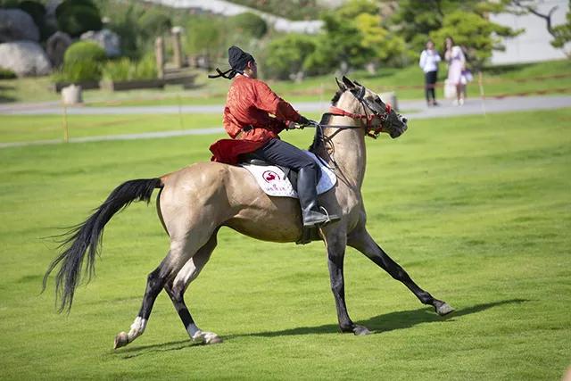 大陆赛马网:"2019丝绸之路国际马文化节"将于10月陕西西安举行
