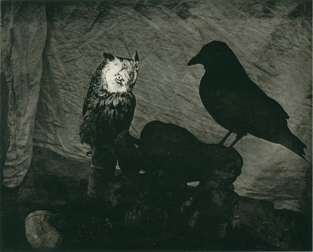 美国艺术家,吉姆·戴恩1935年6月16日出生于俄亥俄州辛辛那提市,先后