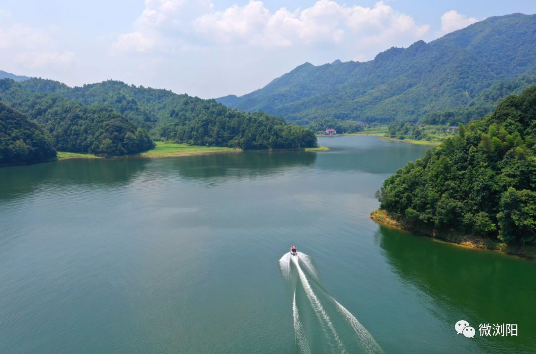 烈日行舟株树桥,他已经守护这汪碧水10年_周旺松