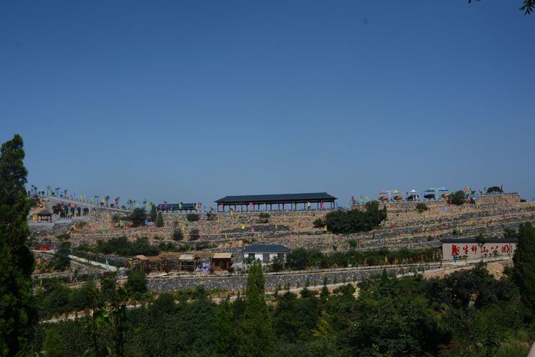 巩义市涉村镇深入学习竹林精神全力推进乡村振兴