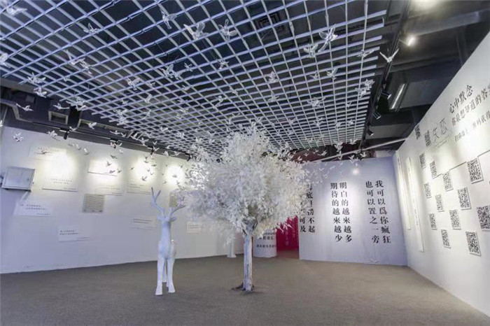 治愈了2000万失恋情侣的超级博物馆,你被治愈了吗?_常州