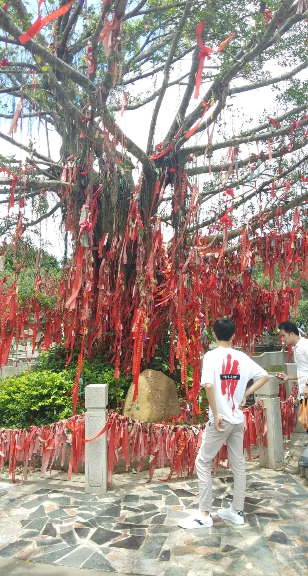 在入口处有一颗很大的姻缘树,上面挂满了游客许下的愿望,树下的大石头