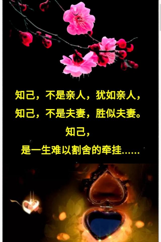 知己,是无言的爱,是无声的情,是深爱你的人!也是今生无缘的妻