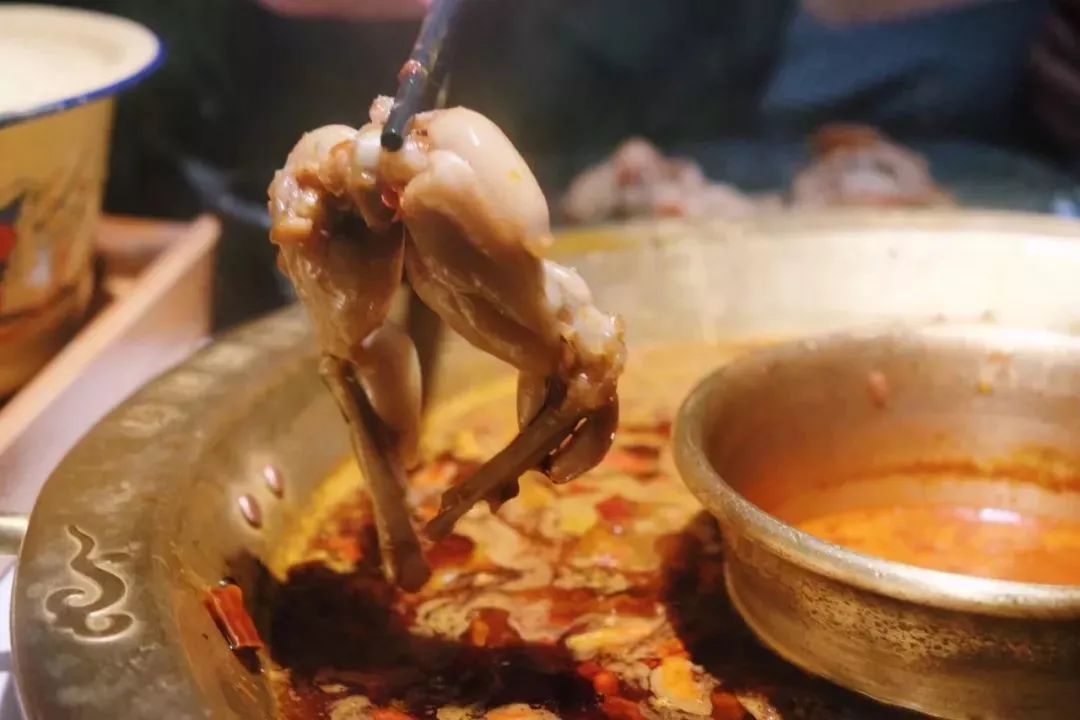 突发网红哥老官出事了他家的牛蛙你还会排队去吃吗