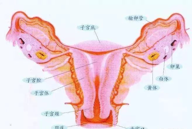 身上3处变黑你的子宫出问题了