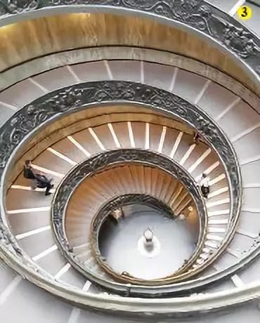 海洋科普丨带你认识世界四大名螺_鹦鹉螺