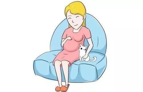 孕妇养宠物卡通图片图片
