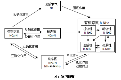 氮的循环是水产养殖生态系统中物质循环的重要环节,氮在水中存在的