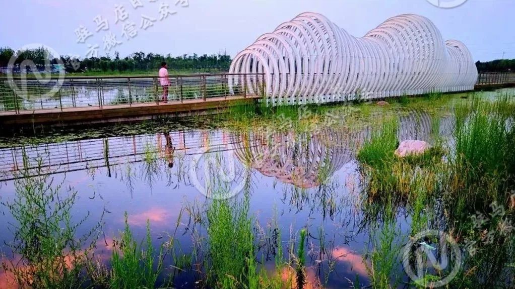 驻马店湿地植物园图片