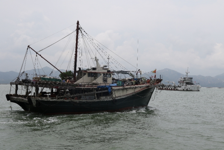 深圳休渔期结束捕捞渔船纷纷出海,有三无船只"浑水摸鱼"被抓