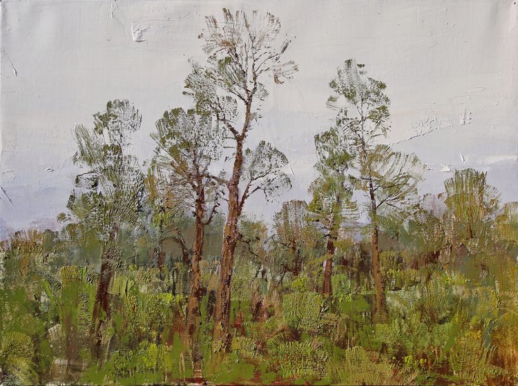 程林新油画写生作品 60cm×80cm 2019年7月尼勒克意为"希望,新生命"