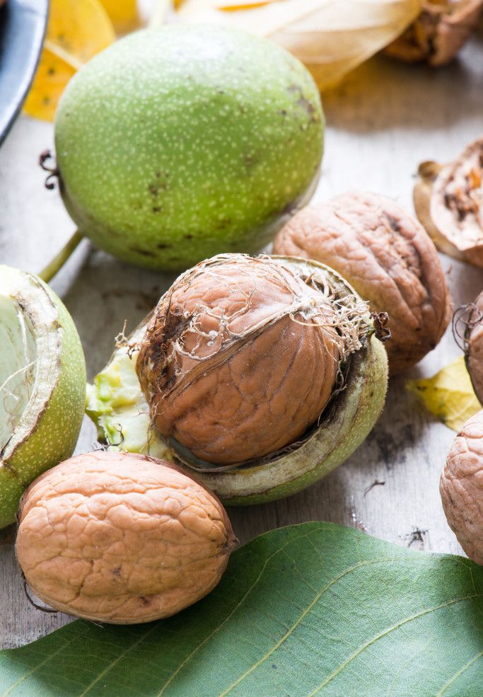 西昌新鲜核桃上市了你们不知道的营养价值在这里