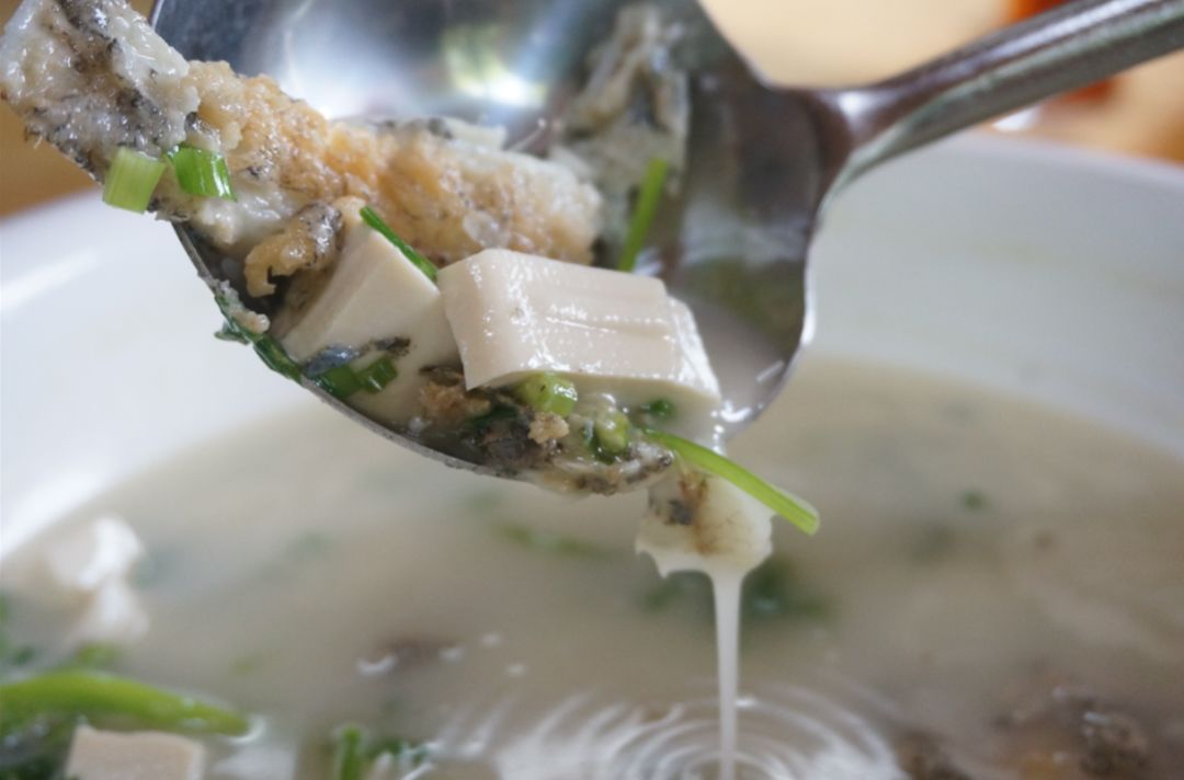 笋野2号:笋壳鱼芫茜豆腐汤冰镇笋,笋浸鸡!