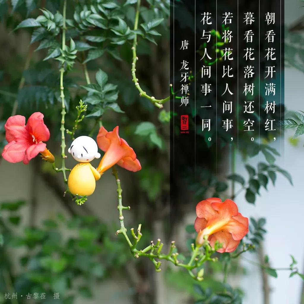 朝看花开满树红,暮看花落树还空.若将花比人间事,花与人间事一同.