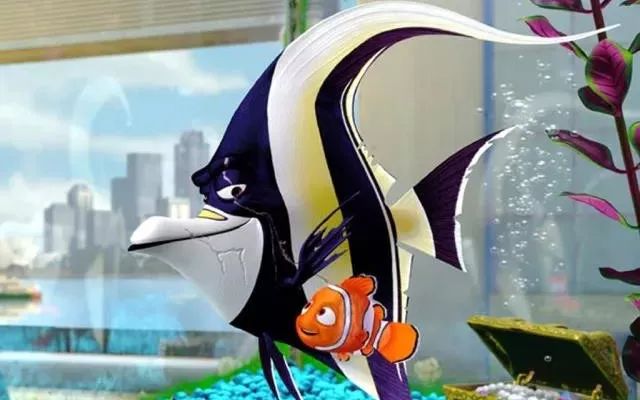 西瓜哥哥讲故事丨海底总动员下