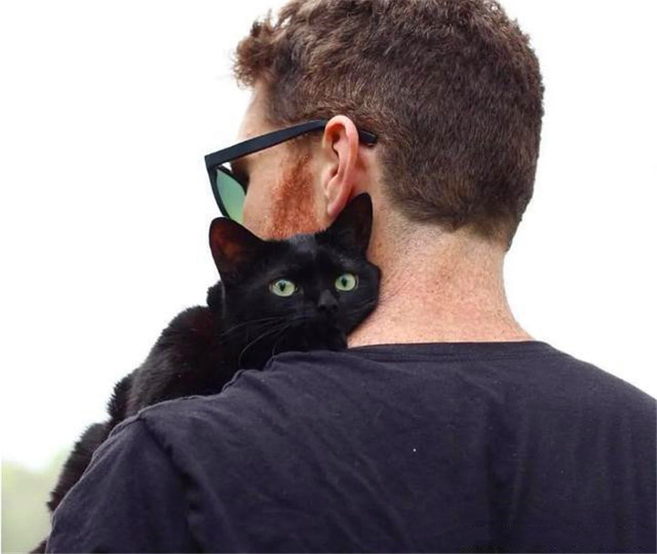 黑猫半年内无人领养抱住男子就不放手害怕自己不被收养