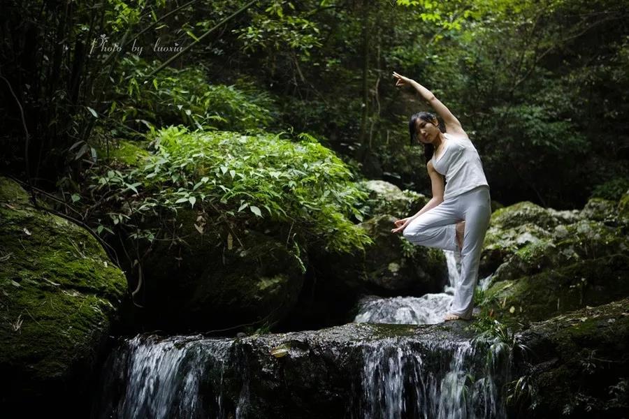 森林瑜伽节行程part 2与自然对话,享山林之乐,"伽人有约"翠云山森林