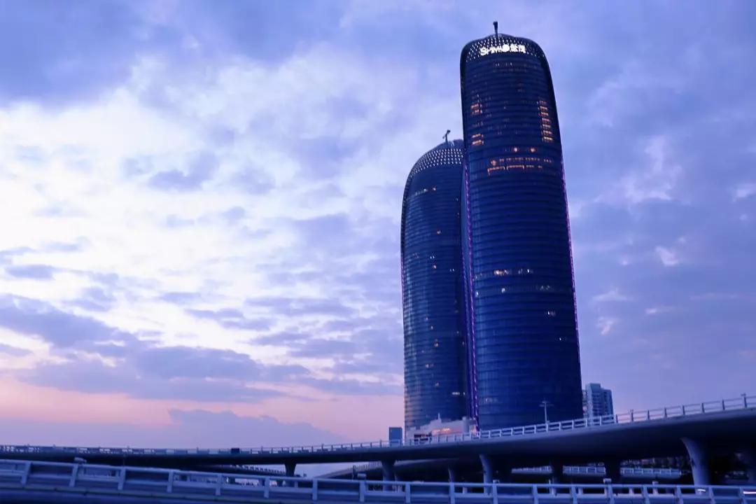 演武大桥,紧邻厦门的地标式建筑—双子塔.
