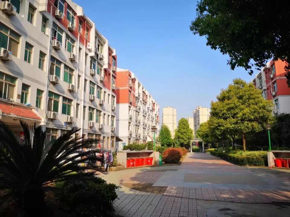 长江大学风华园图片