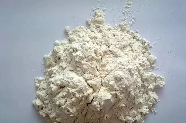 原创养花时学会使用硅藻粉让病虫害远离植物种花变轻松活