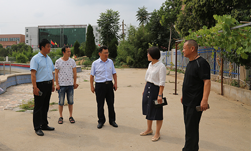 开发区党工委副书记张俊才调研辖区内病媒生物预防控制重点点位