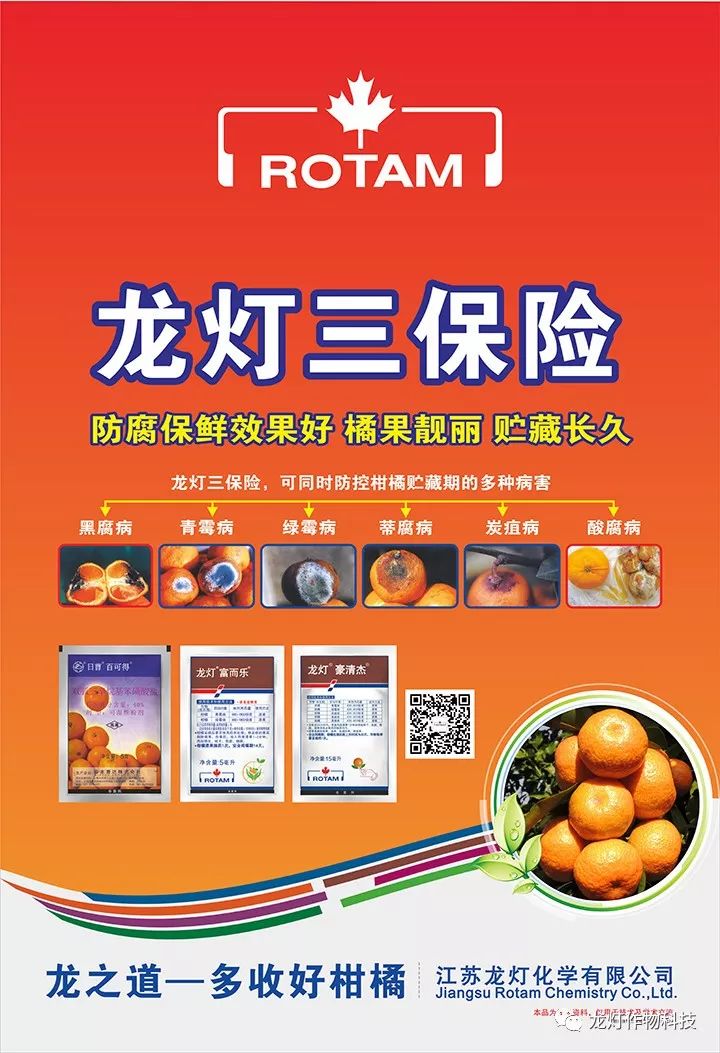 柑橘防腐保鲜论坛落幕,2019百可得市场起航!