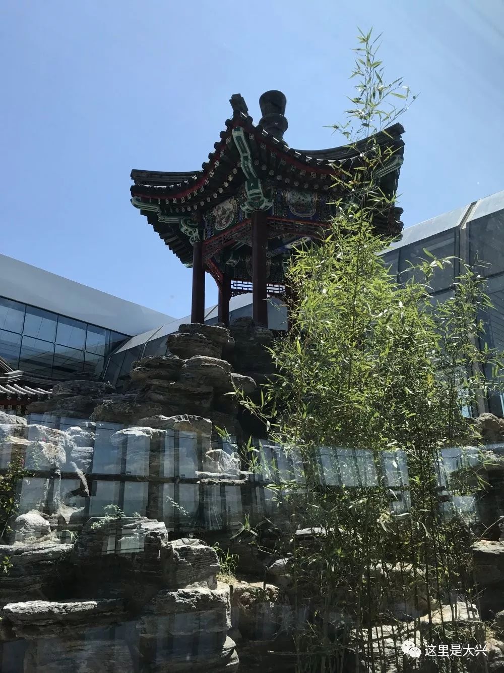 大阵仗3191人就为给大兴机场挑毛病