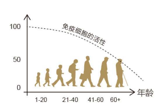 更重要的是随着年龄的增长,细胞老化,使得免疫力也会逐渐下降免疫细胞