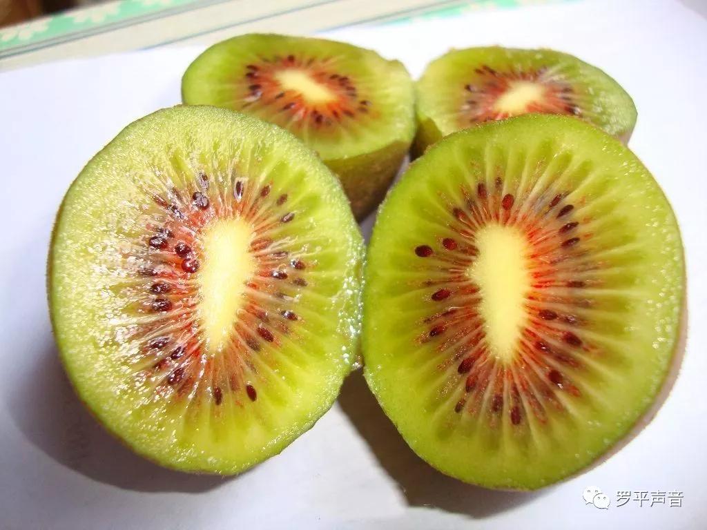 罗平百雀林猕猴桃火龙果成熟千只孔雀比美采摘游约吗