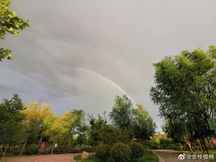 美呆了东营天空现三道彩虹一瞬间刷爆朋友圈