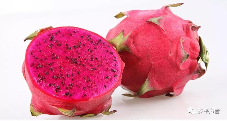 罗平百雀林猕猴桃火龙果成熟千只孔雀比美采摘游约吗