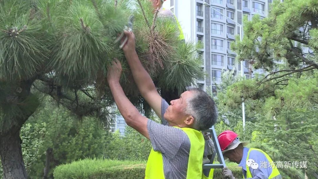 与决心来源:潍坊高新传媒虹新闻记者宋一航,王亿冰,刘以晖返回搜狐