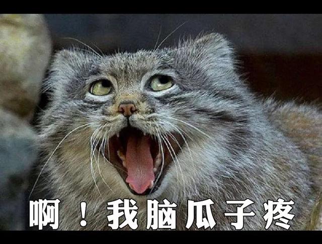 小编看了20分钟就走了,脑瓜子疼!我惹不起,还躲不起了!走了走了.