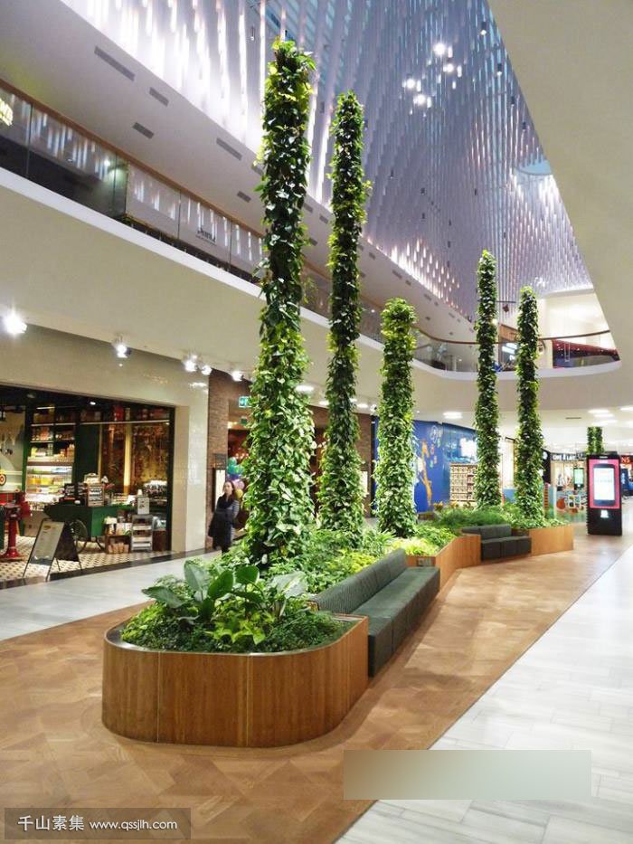 购物中心垂直绿化 壮观的植物柱