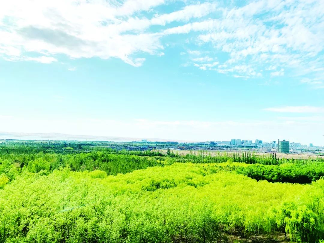 视觉与绿色乌海来一场浪漫的邂逅