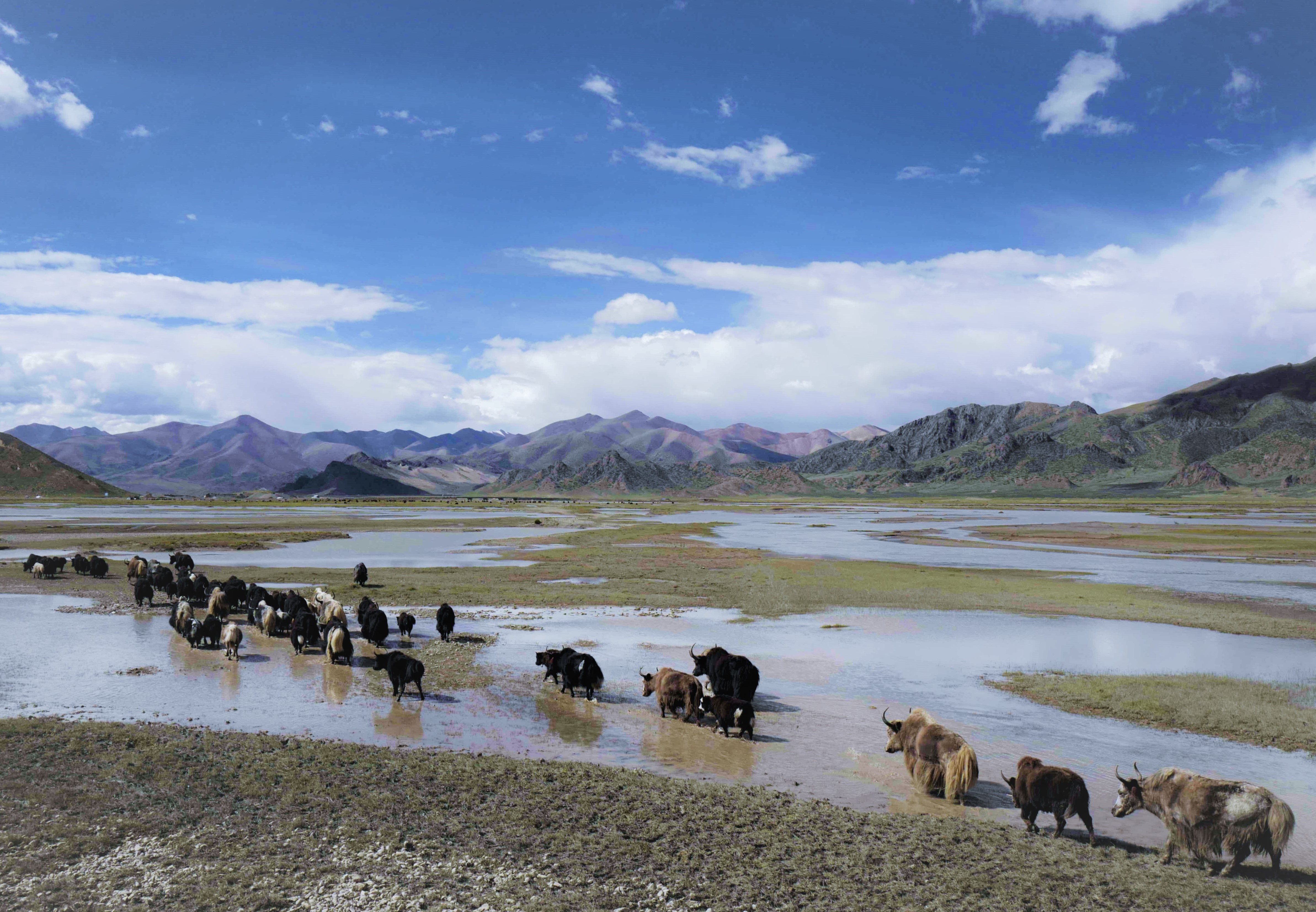 生态中国醉美西藏高原情
