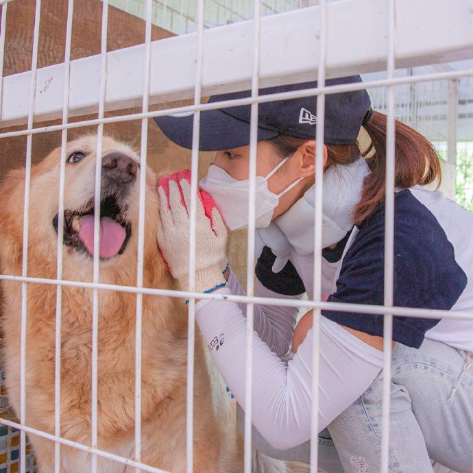 超级有爱的画面!yuri作为志愿者参加保护流浪狗公益活动