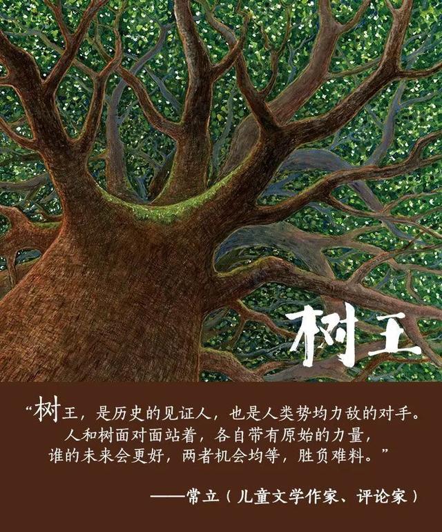 树王绘本,绘本(第3页)_大山谷图库