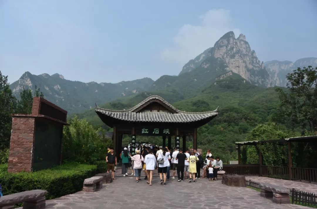 小麦田革命性除草新技术懒人锄地上市经销商纷纷表示