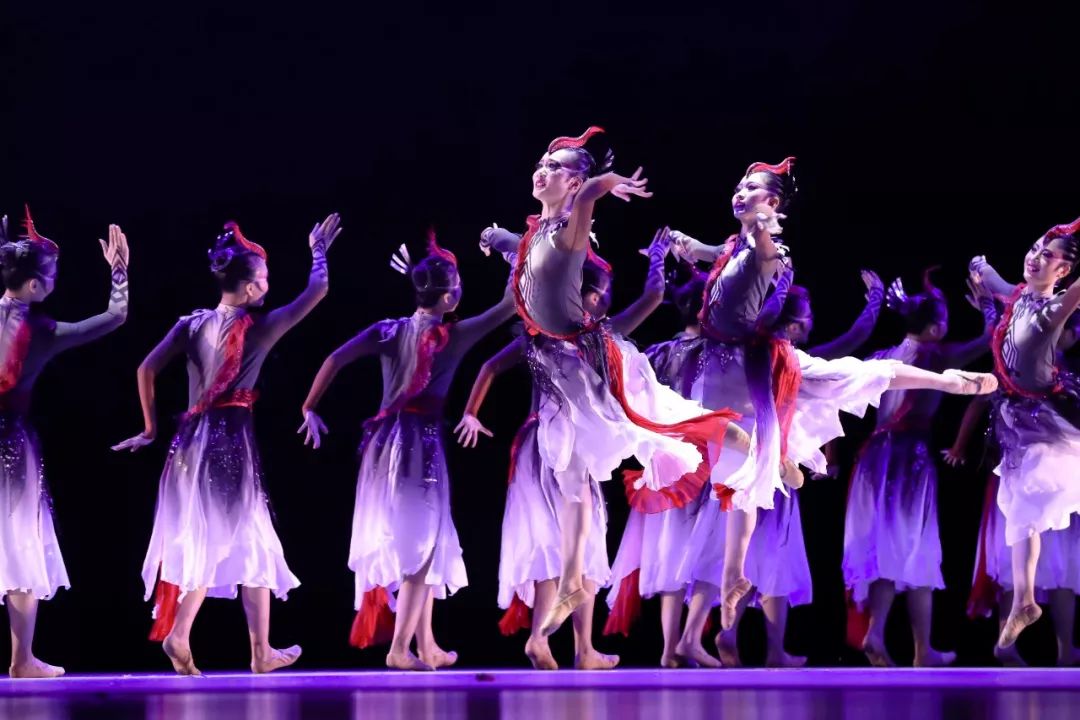 桃李杯 | 乐舞芬芳揽华章 —— 展演第四,第五场回顾