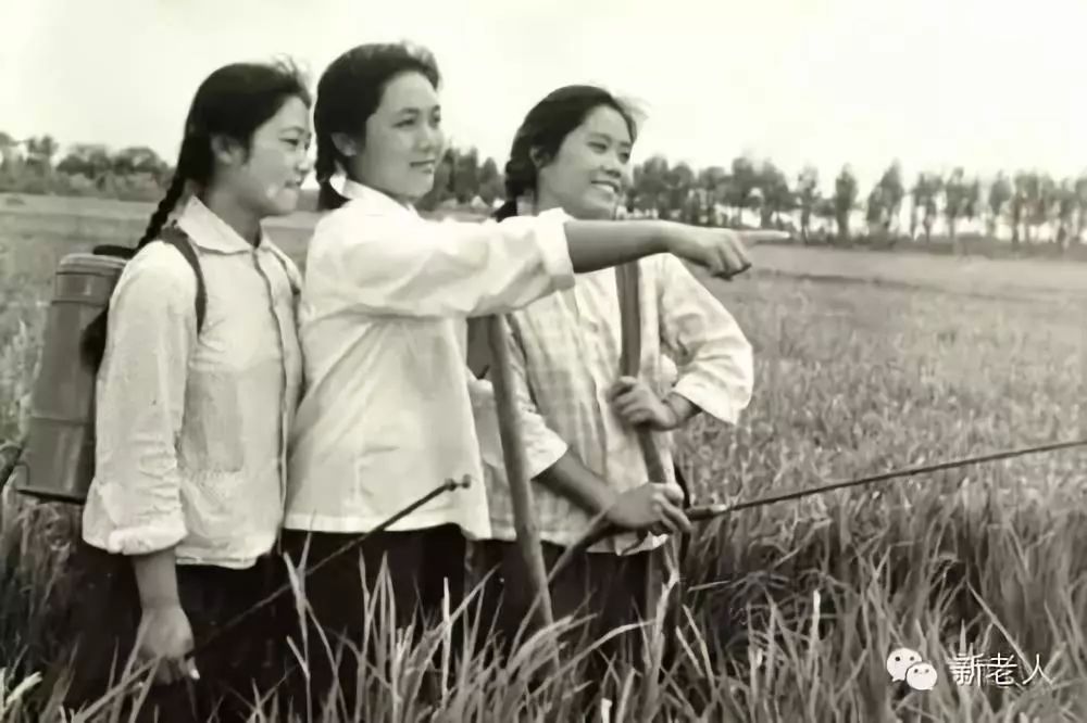 纪念知青上山下乡50周年:知青的路,我们一起走过_一代