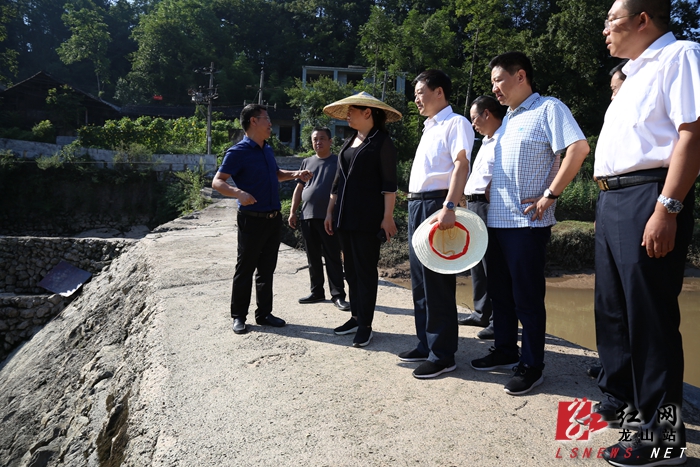 龙山县委书记时荣芬图片