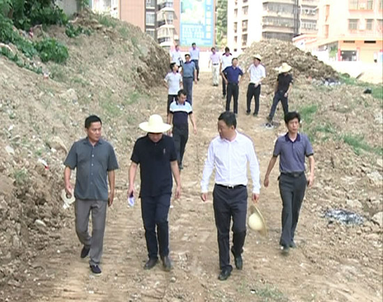 本网讯(记者 丁为为)8月14日,市委副书记,市长董方平带领农业农村