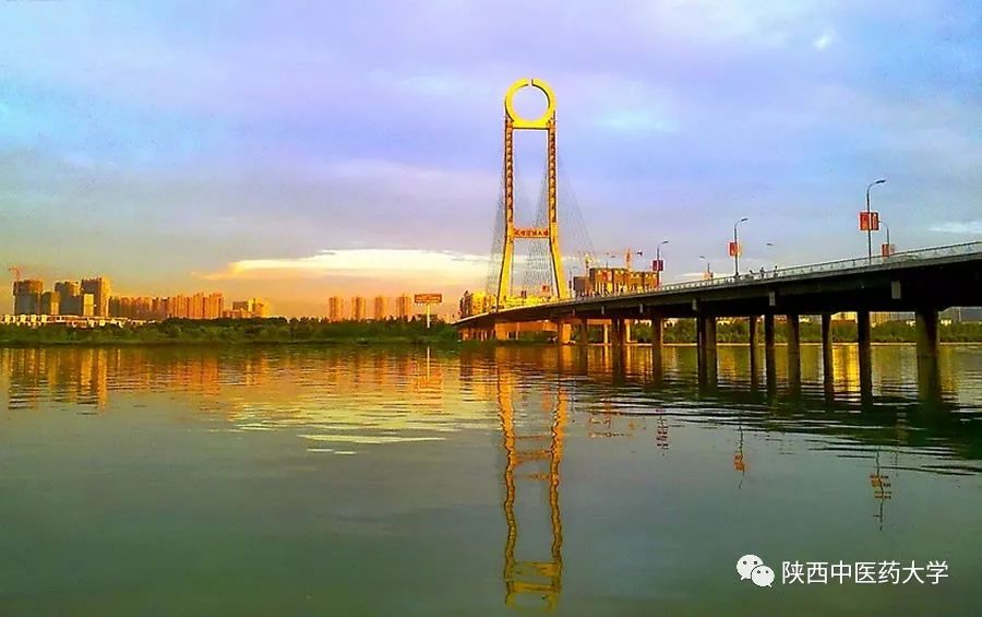 (二号桥 渭城桥 转自太平洋电脑网摄影部落精灵)(三号桥 秦都桥 转自