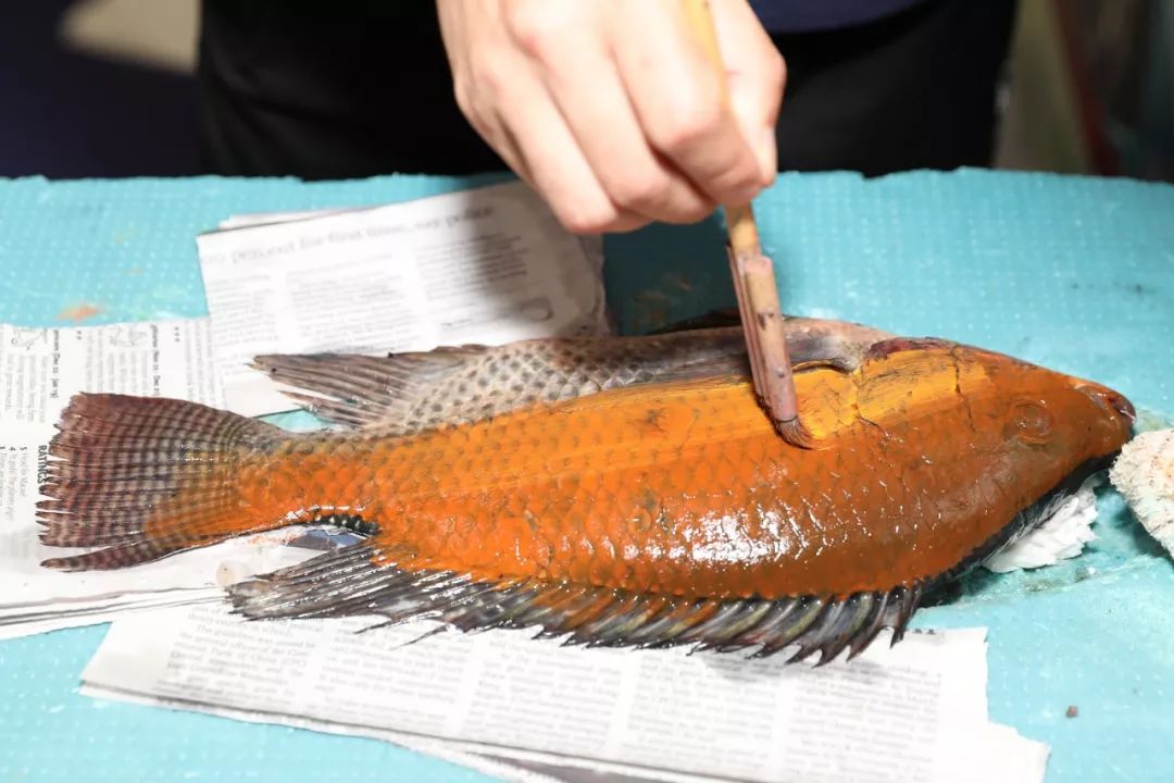 青年鱼拓名家张展铭献技秋展会