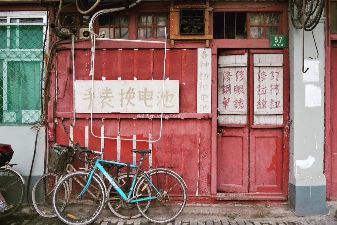 大杨浦野生字体博物馆