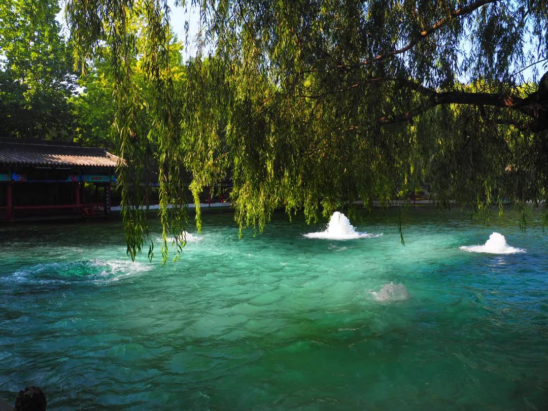 官方提醒:建议穿凉鞋……_公园