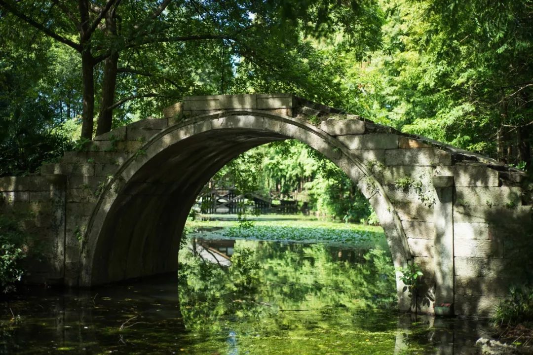 【周末去哪儿】绿藤,古道,野鸭,小桥,流水,盛夏