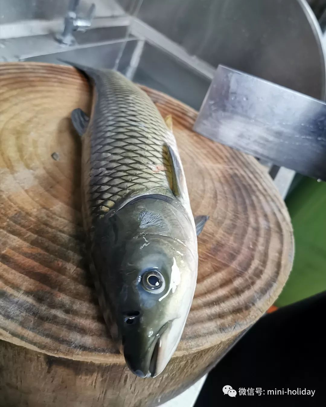 汉口湖北非遗手工名物被咸宁人独创出一个火锅门类好鲜嫩399集